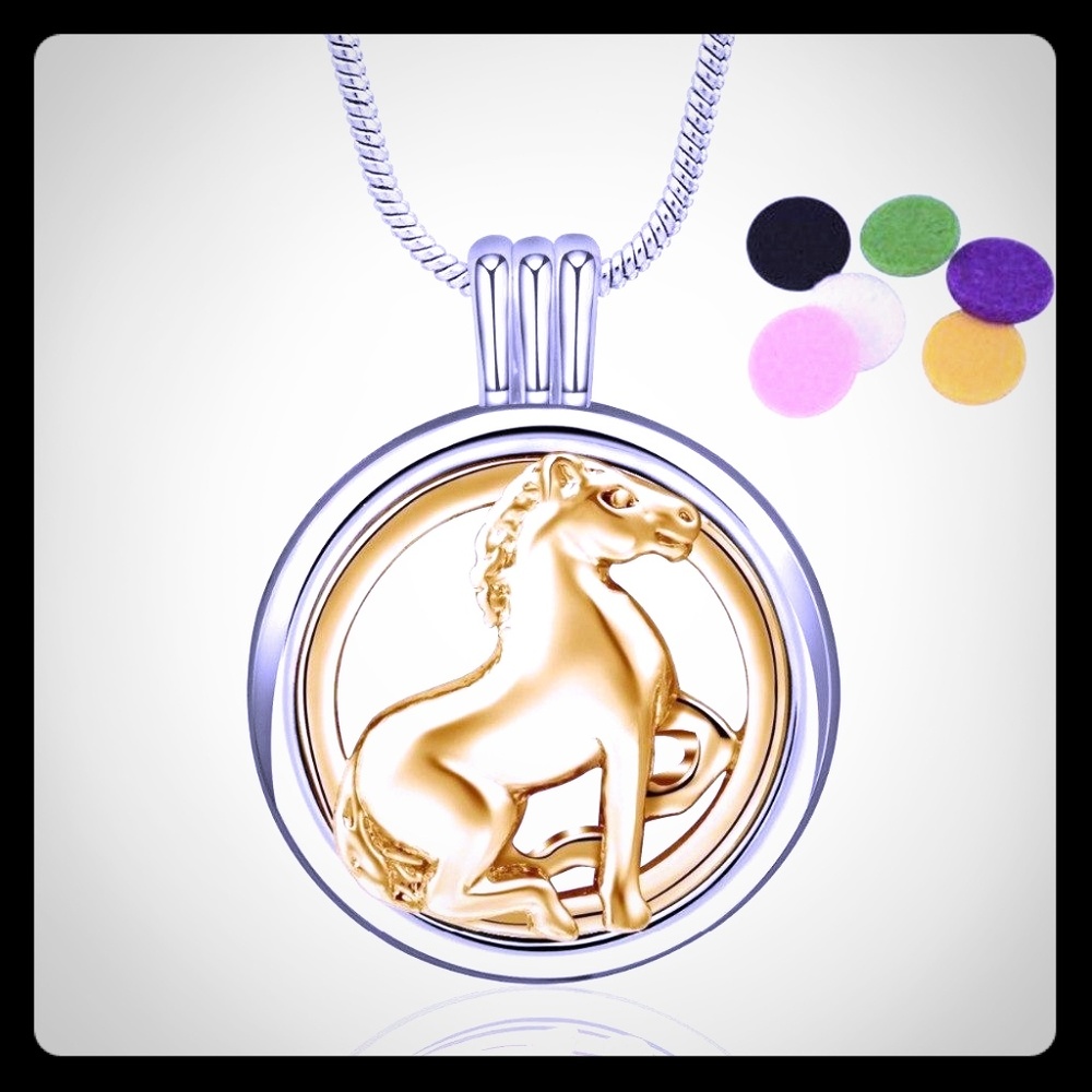 Aromatherapy Necklace